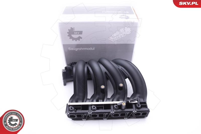Intake Manifold Module